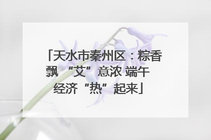 天水市秦州区：粽香飘 “艾”意浓 端午经济“热”起来