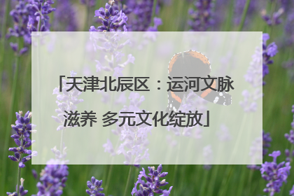 天津北辰区：运河文脉滋养 多元文化绽放