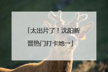 太出片了！沈阳新晋热门打卡地→