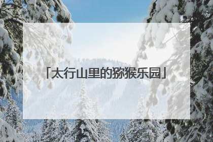 太行山里的猕猴乐园