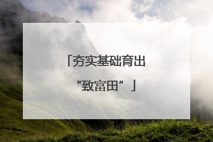 夯实基础育出“致富田”