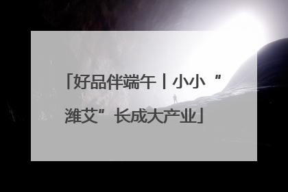 好品伴端午丨小小“潍艾”长成大产业