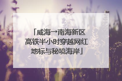 威海→南海新区 高铁半小时穿越网红地标与秘境海岸