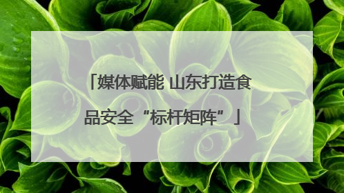 媒体赋能 山东打造食品安全“标杆矩阵”