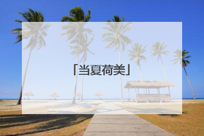当夏荷美