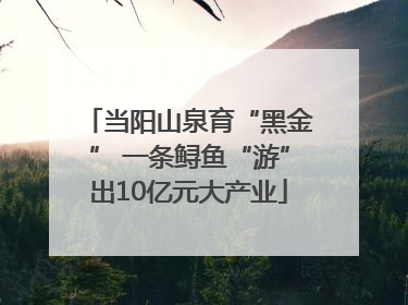 当阳山泉育“黑金” 一条鲟鱼“游”出10亿元大产业