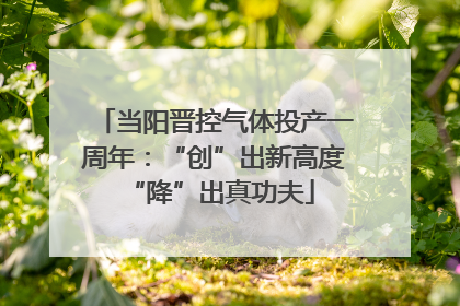 当阳晋控气体投产一周年：“创”出新高度 “降”出真功夫