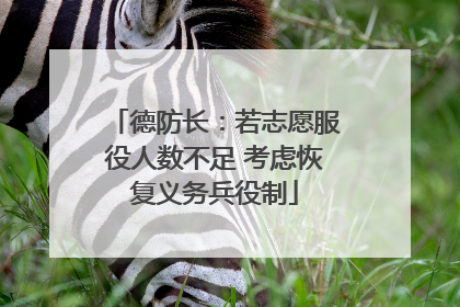 德防长：若志愿服役人数不足 考虑恢复义务兵役制