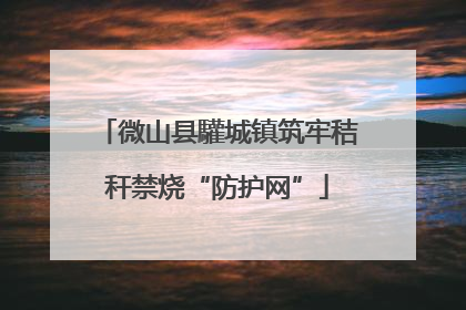 微山县驩城镇筑牢秸秆禁烧“防护网”