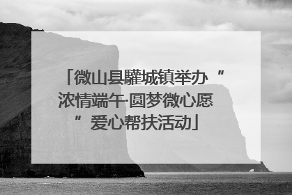 微山县驩城镇举办“浓情端午·圆梦微心愿”爱心帮扶活动