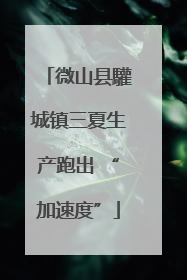 微山县驩城镇三夏生产跑出 “加速度”