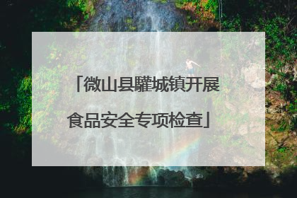 微山县驩城镇开展食品安全专项检查