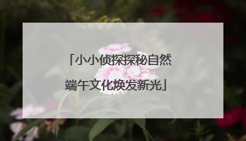 小小侦探探秘自然 端午文化焕发新光