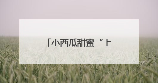 小西瓜甜蜜“上市”，顺义区北务镇进入采摘季