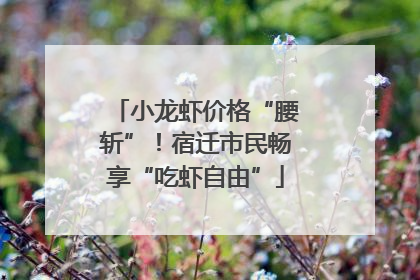 小龙虾价格“腰斩”!宿迁市民畅享“吃虾自由”