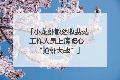 小龙虾散落收费站 工作人员上演暖心“抢虾大战”
