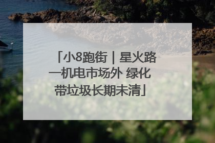 小8跑街｜星火路一机电市场外 绿化带垃圾长期未清
