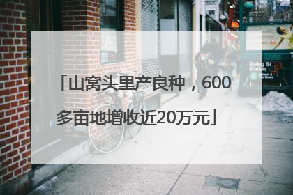 山窝头里产良种，600多亩地增收近20万元