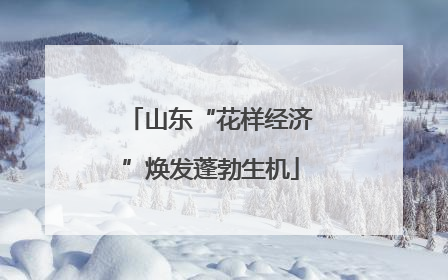 山东“花样经济”焕发蓬勃生机