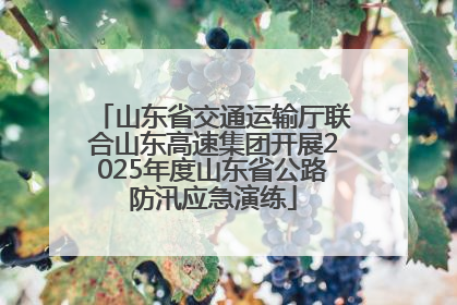 山东省交通运输厅联合山东高速集团开展2025年度山东省公路防汛应急演练
