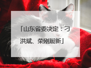 山东省委决定：刁洪斌、荣刚履新