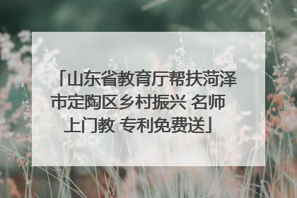 山东省教育厅帮扶菏泽市定陶区乡村振兴 名师上门教 专利免费送