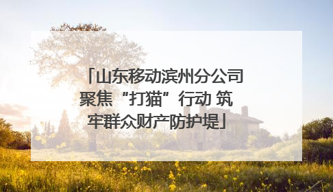山东移动滨州分公司聚焦“打猫”行动 筑牢群众财产防护堤