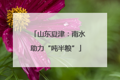 山东夏津：南水助力“吨半粮”