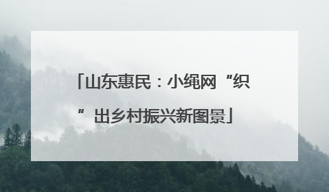 山东惠民：小绳网“织”出乡村振兴新图景