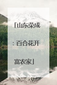 山东荣成：百合花开富农家