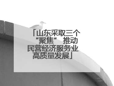 山东采取三个“聚焦” 推动民营经济服务业高质量发展