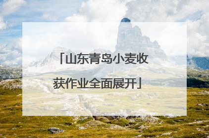 山东青岛小麦收获作业全面展开