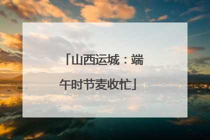 山西运城：端午时节麦收忙