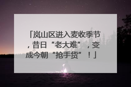 岚山区进入麦收季节，昔日“老大难”，变成今朝“抢手货”！