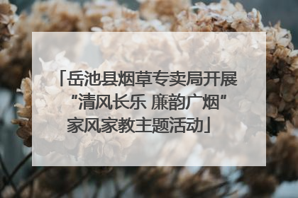 岳池县烟草专卖局开展“清风长乐 廉韵广烟”家风家教主题活动