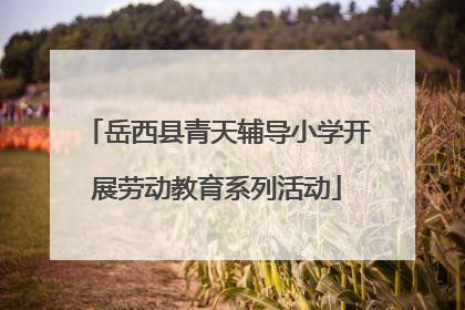 岳西县青天辅导小学开展劳动教育系列活动