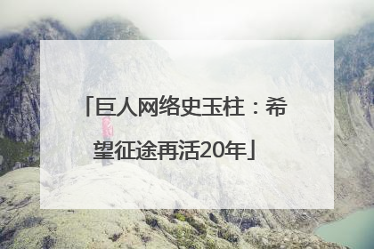 巨人网络史玉柱：希望征途再活20年