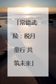 常德武陵：税月童行 共筑未来