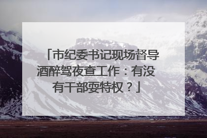 市纪委书记现场督导酒醉驾夜查工作：有没有干部耍特权？