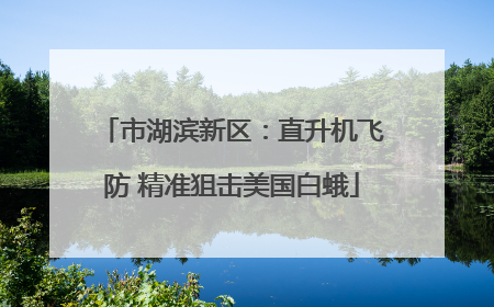 市湖滨新区：直升机飞防 精准狙击美国白蛾