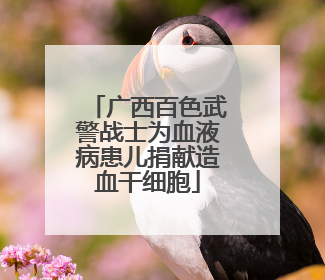 广西百色武警战士为血液病患儿捐献造血干细胞
