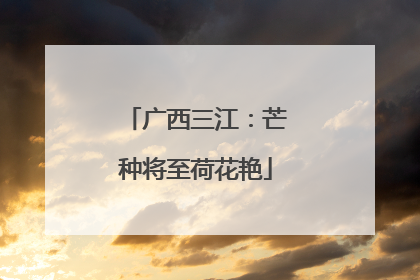 广西三江：芒种将至荷花艳
