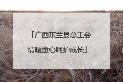 广西东兰县总工会情暖童心呵护成长