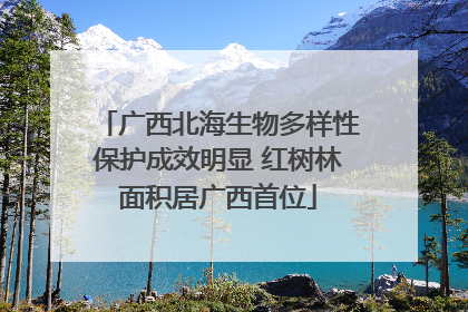 广西北海生物多样性保护成效明显 红树林面积居广西首位