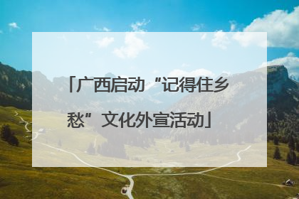 广西启动“记得住乡愁”文化外宣活动