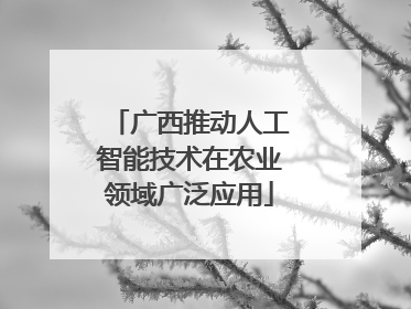 广西推动人工智能技术在农业领域广泛应用