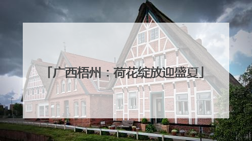 广西梧州：荷花绽放迎盛夏