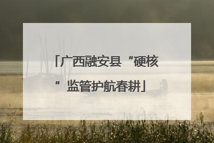 广西融安县“硬核”监管护航春耕