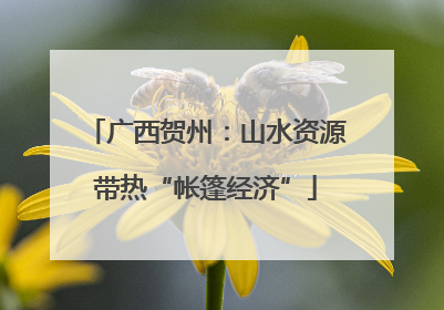 广西贺州：山水资源带热“帐篷经济”