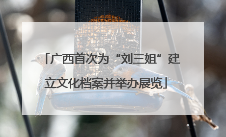 广西首次为“刘三姐”建立文化档案并举办展览